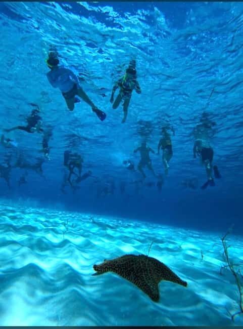 Cozumel: snorkeling on reefs + visit to "El Cielo" - From the fiscal pier to open water in about 15 minutes