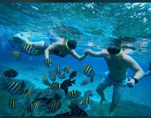 Cozumel: snorkeling on reefs + visit to "El Cielo" - Palancar Reef snorkeling: coral shapes you can actually follow