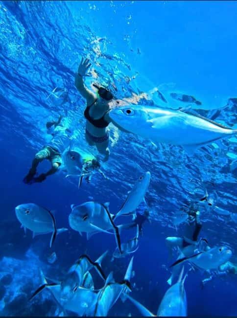Cozumel: snorkeling on reefs + visit to "El Cielo" - Columbia Reef: tunnels and coral that draw turtles and parrotfish