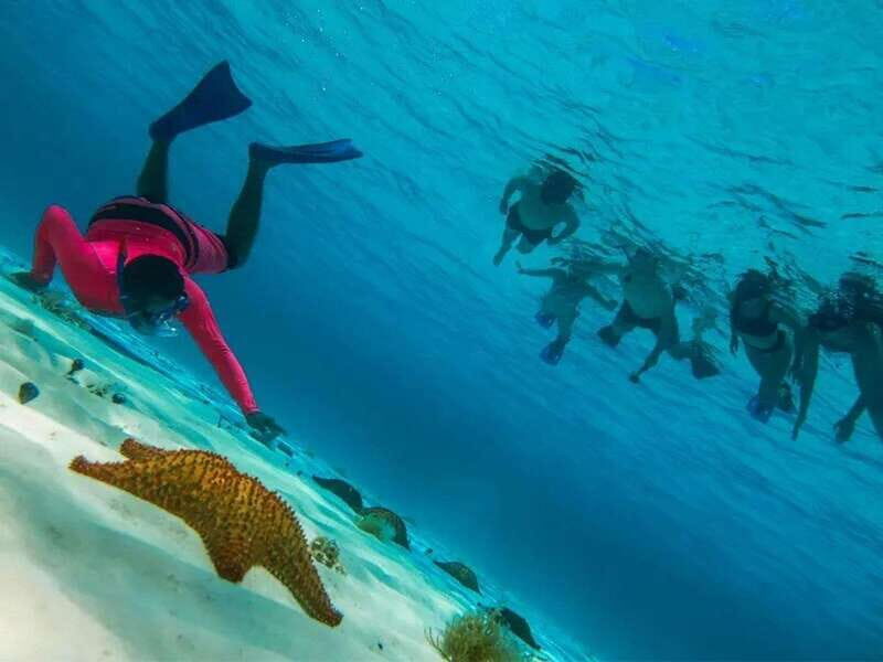 Cozumel: snorkeling on reefs + visit to "El Cielo" - Price and logistics: how 850 MXN turns into a short, value-heavy day