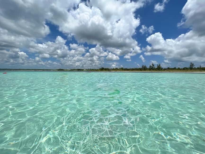 Cozumel: snorkeling on reefs + visit to "El Cielo" - Timing and group flow: when the day feels smooth and when it feels rushed