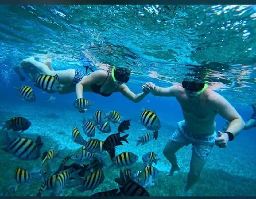 Cozumel: snorkeling on reefs + visit to "El Cielo" - Palancar Reef snorkeling: coral shapes you can actually follow