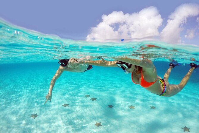 Cozumel Snorkeling Tour: Palancar, Columbia and El Cielo Reefs - Key Points That Matter Before You Go