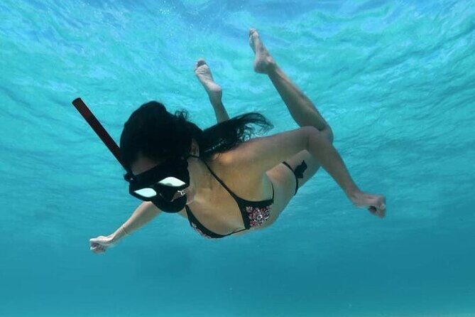 Cozumel Snorkeling Tour: Palancar, Columbia and El Cielo Reefs - Palancar Reef: Where You Get Your First Big Reef Impression
