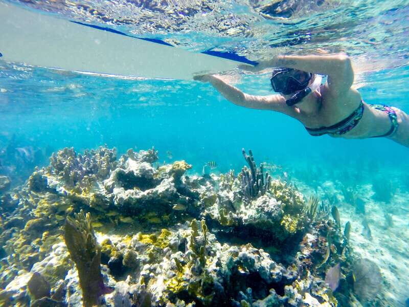 Cozumel: West Coast E-Bike and Snorkeling Tour - Getting Started Right: The Check-In And Bike Fit