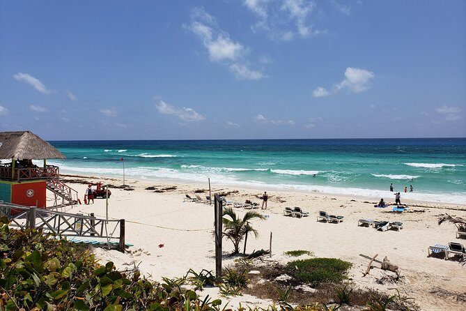 Customizable Private Buggy Tour in Cozumel with Lunch and Snorkel - Small Watch-Outs Before You Drive Off