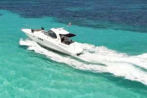 Deluxe Private Boats - 40 ft Sea Ray - The Natural Reserve Swim: A Slower, More Connected Experience
