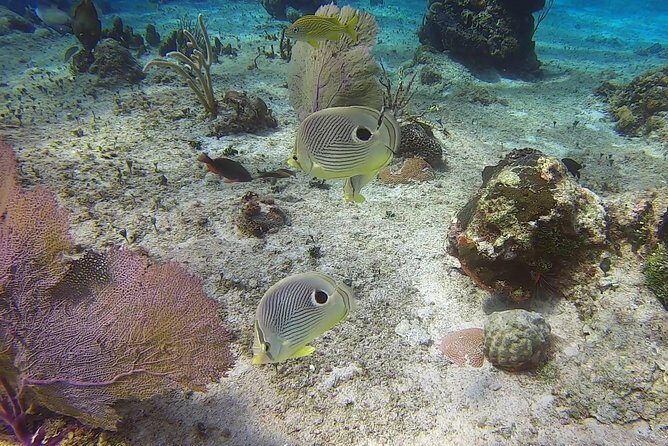 Discover Scuba Diving - Gear, Snorkeling After, and the Photo Question