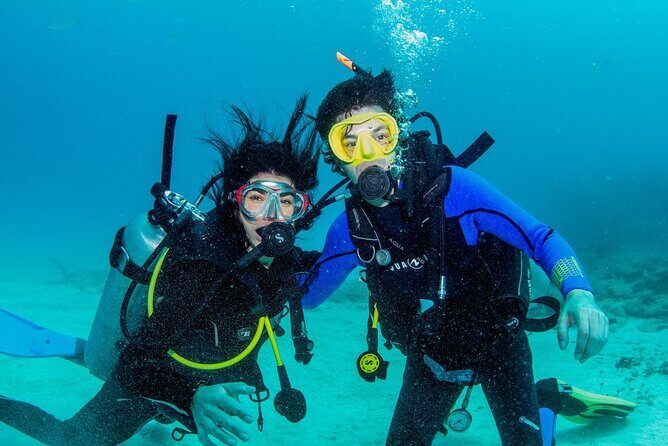 Discover Scuba Diving at Cozumel Marine Park - Your Schedule: Pool Skills, Then Two Shallow Reef Sessions