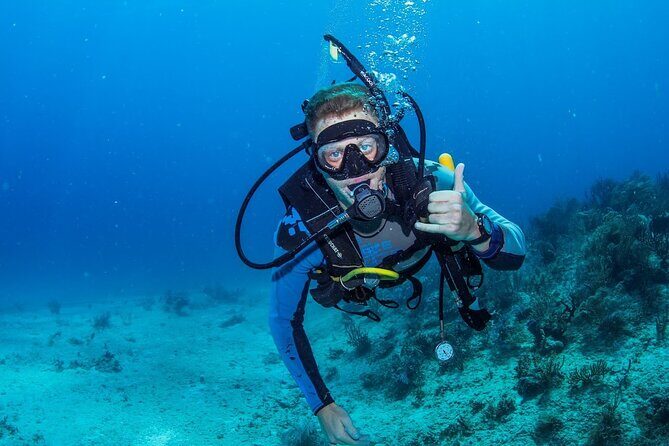 Discover Scuba Diving at Cozumel Marine Park - La Luciana Boat: Comfort, Sundeck Time, and a Real Break