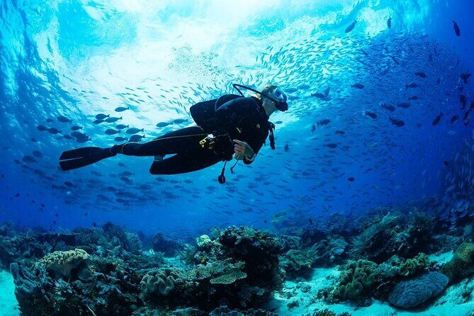 Discover Scuba Diving & Beach Club with Transportation In Riviera Maya - The one extra cost: $15 USD dock fee at marina check-in
