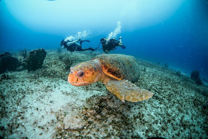 Discover Scuba Diving & Beach Club with Transportation In Riviera Maya - Instructors who coach calm breathing and confidence