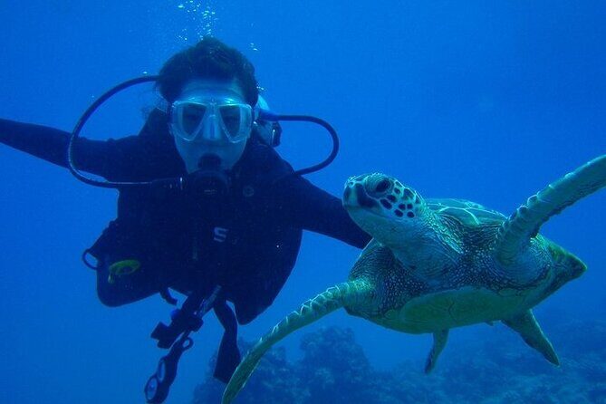 Discover Scuba Diving & Beach Club with Transportation In Riviera Maya - What to plan for on the day: keep expectations realistic