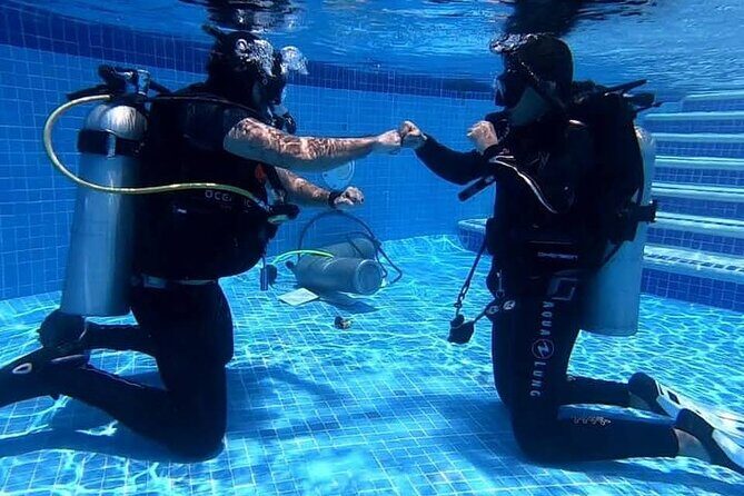 Discover Scuba Diving in Cozumel - Price and Value: Is $105 Worth It?
