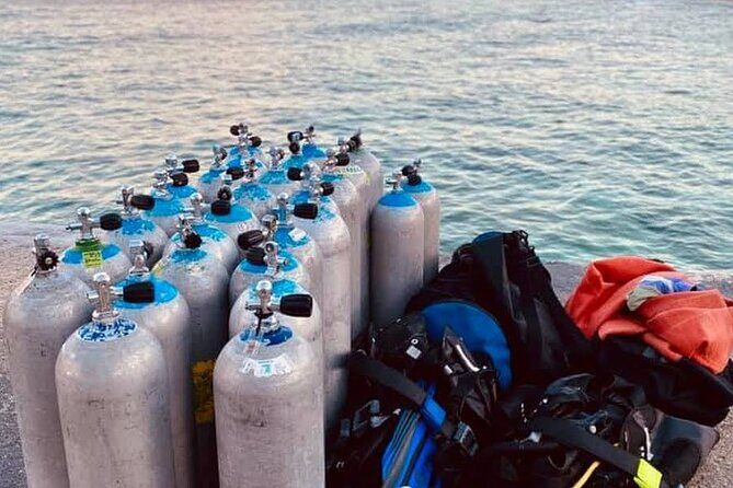 Discover Scuba Diving in Cozumel - Who This Is Best For (and Who Might Want to Think Twice)