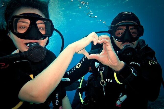 Discover Scuba Diving in Cozumel Paradise Reef - The training flow: from PADI video to shallow water comfort