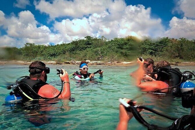 Discover Scuba Diving in Cozumel Paradise Reef - Equipment and boat comfort: the small things you’ll notice