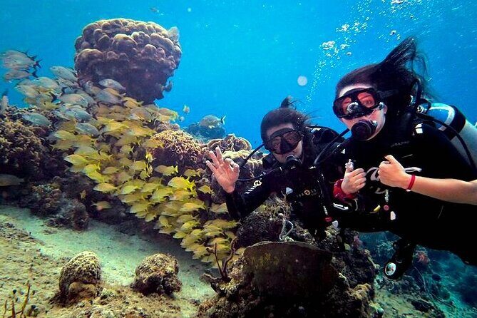 Discover Scuba Diving in Cozumel Paradise Reef - How long will this take, really? (and cruise-ship reality)