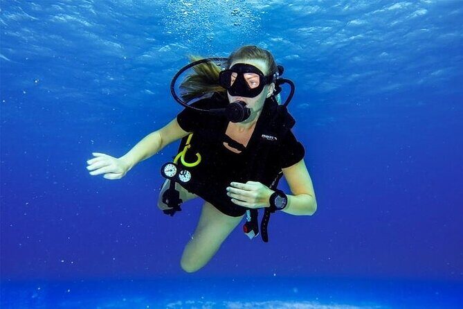 Discover Scuba Diving in Cozumel Paradise Reef - What you’ll likely see on Paradise Reef