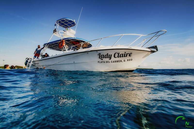 Discover Scuba Diving in Playa del Carmen - 2 dives - Meeting Mexico Blue Dream Near NUMA Hotel