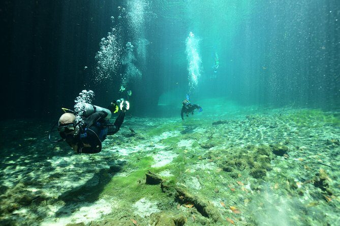 Discover Scuba Diving in Tulum - 5 Hours in Tulum for Your First Underwater Scuba Session