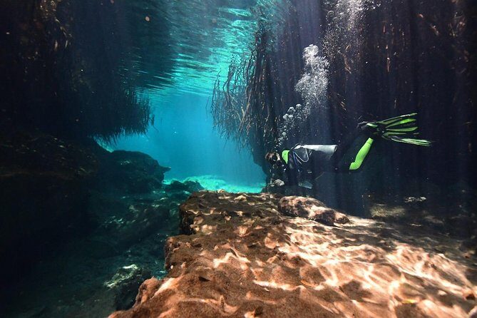 Discover Scuba Diving in Tulum - Equipment, Basic Skills Practice, Then Your First Underwater Time