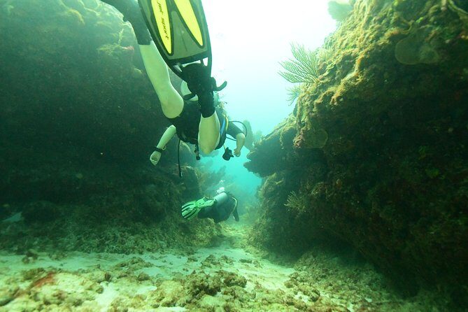 Discover Scuba Diving in Tulum - Casa Cenote: Open Lagoon Water, Mangroves, and That Light Show