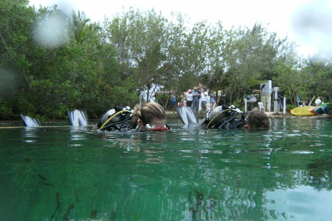 Discover Scuba Diving in Tulum - Price and Value: Is $140 Worth It?