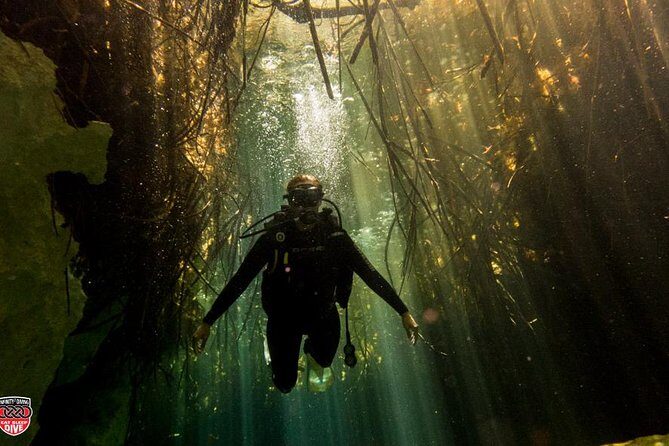 Discovery Scuba Diving - Why Tulum’s Cenotes Work So Well for First-Timers