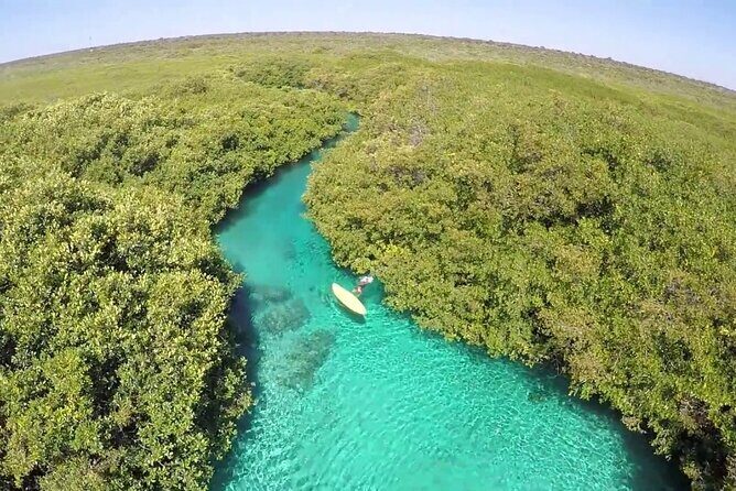 Discovery Scuba Diving - Who Should Book This Experience in Tulum?