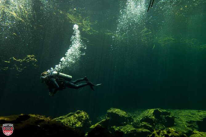 Discovery Scuba Diving - Infinity 2 Diving: The Small-Group Advantage