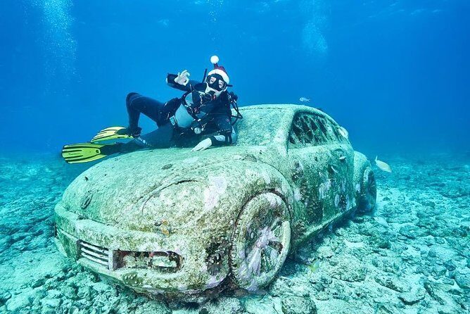 Diving in Cancun Underwater Museum of Art - Second Session on the Reef: After the Art, Real Marine Life Variety