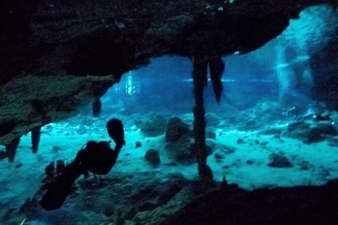 Dos Ojos Cenote Cavern Dive- The Barbie Line and The Bat Cave - Scuba in Dos Ojos cavern lines: what you’re really signing up for