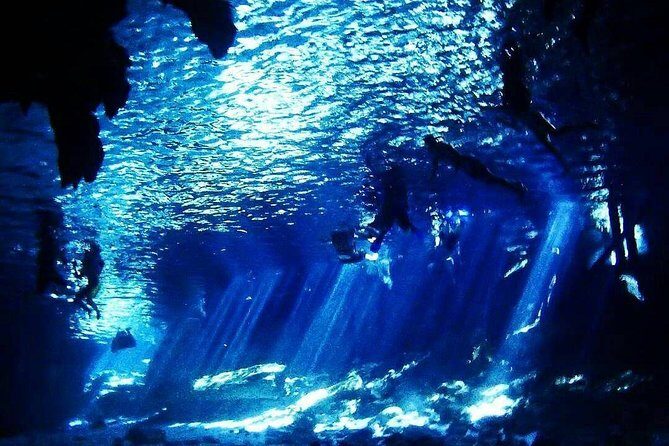 Dos Ojos Cenote Cavern Dive- The Barbie Line and The Bat Cave - Getting there from Tulum Centro: what your morning schedule looks like