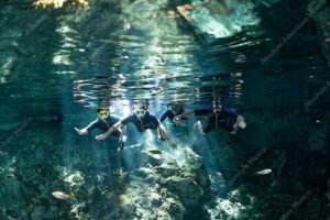 Dos Ojos Cenote VIP Private Tour – Snorkeling & Mayan Lunch - The Main Event: Snorkeling Dos Ojos With Wetsuits and Flashlights