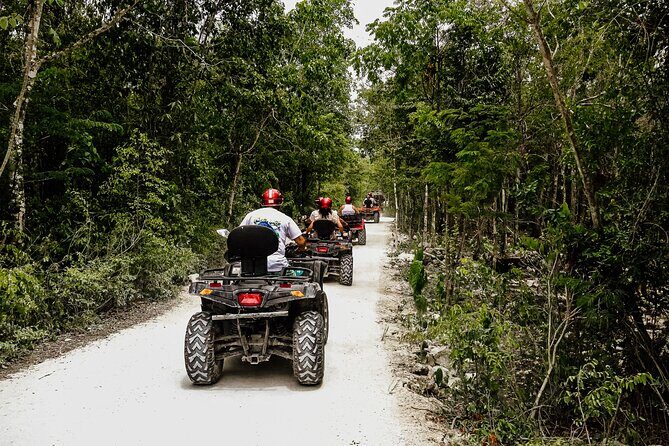 Double Atv Tour In Cozumel And Cenote Jade - Price and real costs: $50 plus the $20 El Cedral Park fee