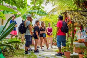 E-Bike Adventure in Cozumel - West Side Ride N' Snorkel - Cenote Aerolito de Paraiso: A Quick Fresh-Water Break