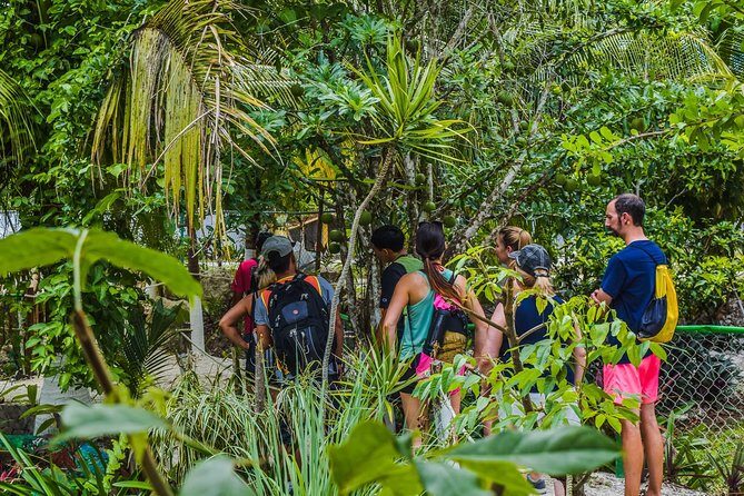 E-Bike Adventure in Cozumel - West Side Ride N' Snorkel - The Ride Itself: Effort Level, Battery Reality, and Group Rhythm