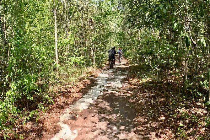 E-bike cenote jungle city tour in Playa del Carmen - Should you book the e-bike cenote jungle city tour?
