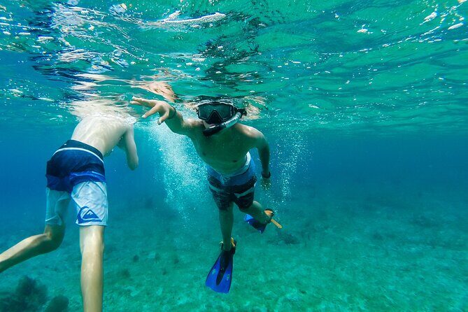 E-bike West Coast Snorkeling Tour - Stop 3: Mi Mexico Lindo Tequila Tour for a 60-Minute Tasting
