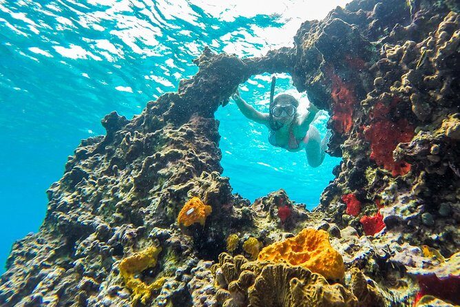 E-bike West Coast Snorkeling Tour - Meeting Point and Practical Start: What You’ll Deal With First