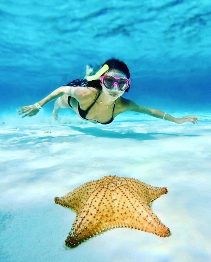 El Cielo and El Cielito in Cozumel with Beach Club, Food, and Open Bar - Key highlights (quick hits)