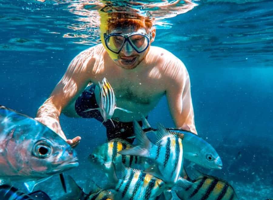 El Cielo and El Cielito in Cozumel with Beach Club, Food, and Open Bar - The catamaran experience: open bar, guided stops, and boat comfort