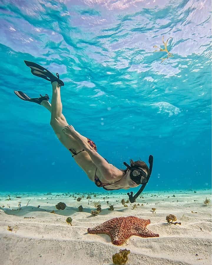 El Cielo and El Cielito in Cozumel with Beach Club, Food, and Open Bar - The best part for many people: Palancar Reef snorkeling