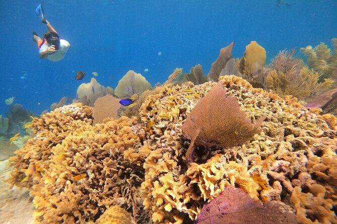 El Cielo and Snorkeling for Cruise Ship Passengers - Why El Cielo, Palancar, Colombia, and El Cielito work so well