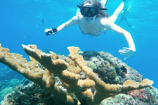 El Cielo Cozumel Snorkel Private Boat + Food + Drinks + Beach - Private Boat Value: What This Tour Gives You in Cozumel