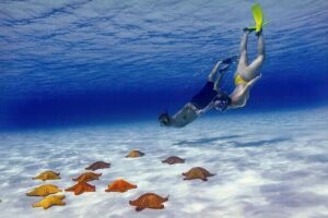 El Cielo Cozumel Snorkel Private Boat + Food + Drinks + Beach - Stop 1: Palancar Reef for Coral and First Big Wildlife Moments