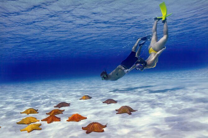 El Cielo Cozumel Snorkel Private Boat + Food + Drinks + Beach - Stop 1: Palancar Reef for Coral and First Big Wildlife Moments