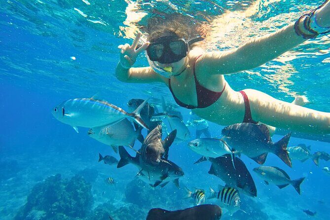 El Cielo Cozumel Snorkel Share Boat + Reefs + Food Drinks + Beach - Colombia reef: your second swim for color and variety