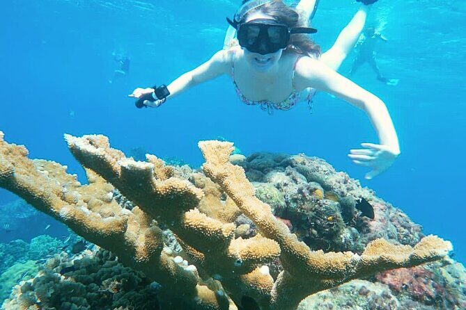 El Cielo Cozumel Snorkel Share Boat + Reefs + Food Drinks + Beach - El Cielito manta ray pool: shallow, gentle, and unforgettable